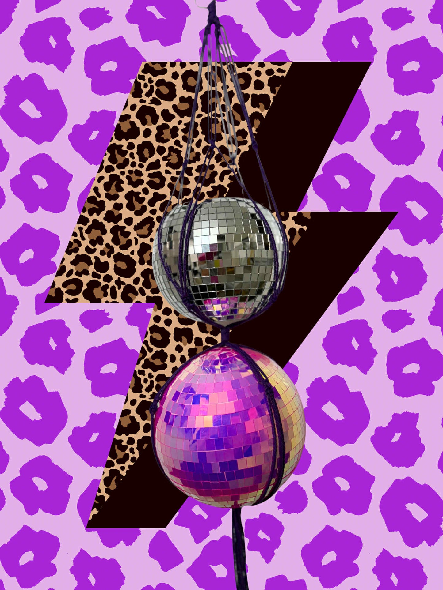 Can't Be Tamed Macrame Disco Ball Hanger