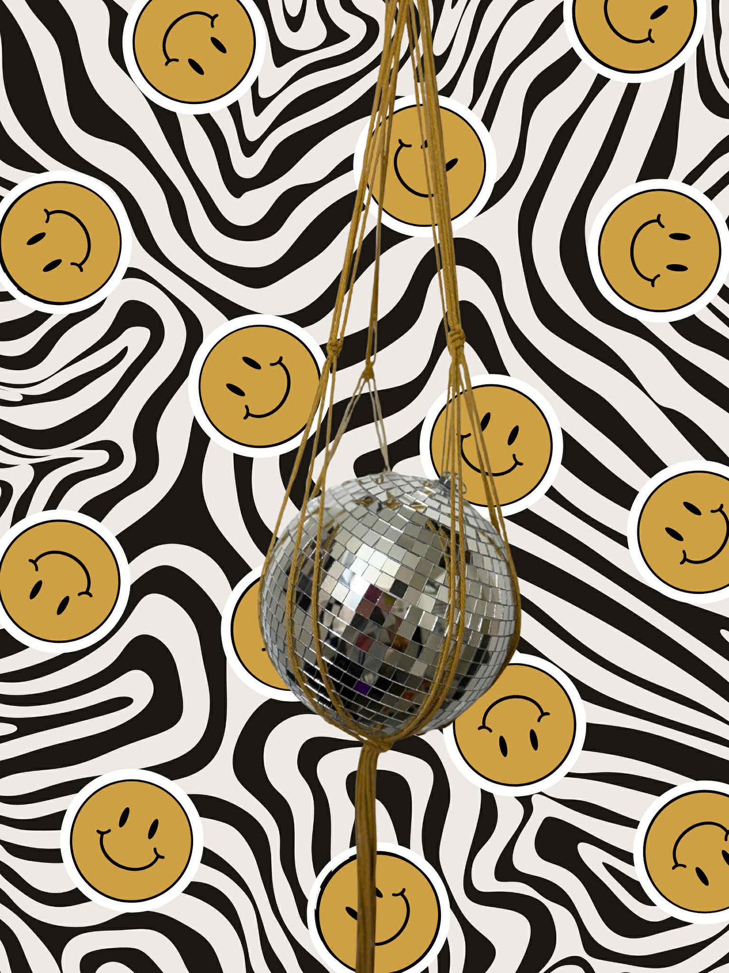 Catching rays Macrame Disco Ball Hanger
